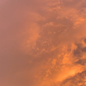 Meet your Posher, Natalia